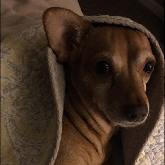 Meet your Posher, Kimberly s - Picture 1 of 1